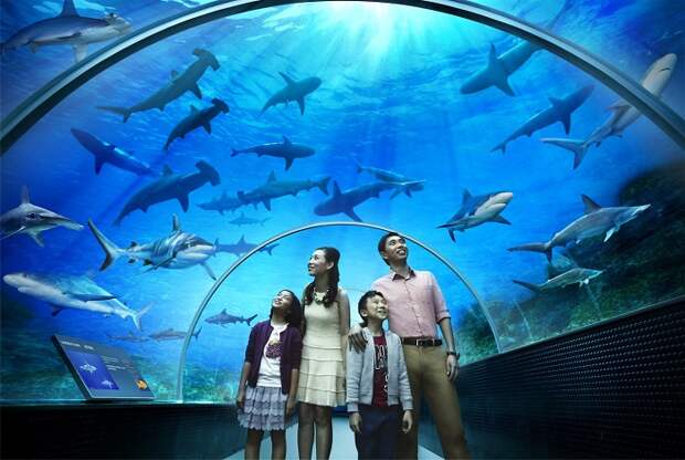 Marine Life Park