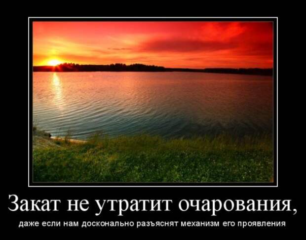 Демотиваторы (30 фото)
