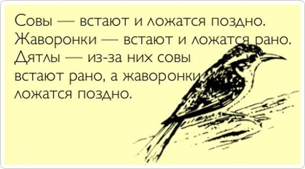 Картинки для разных случаев в жизни