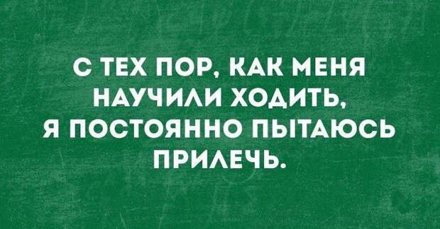 Свежая порция убойного юмора — жизненный позитив с просторов Сети Свежая порция убойного юмора — жизненный позитив с просторов Сети