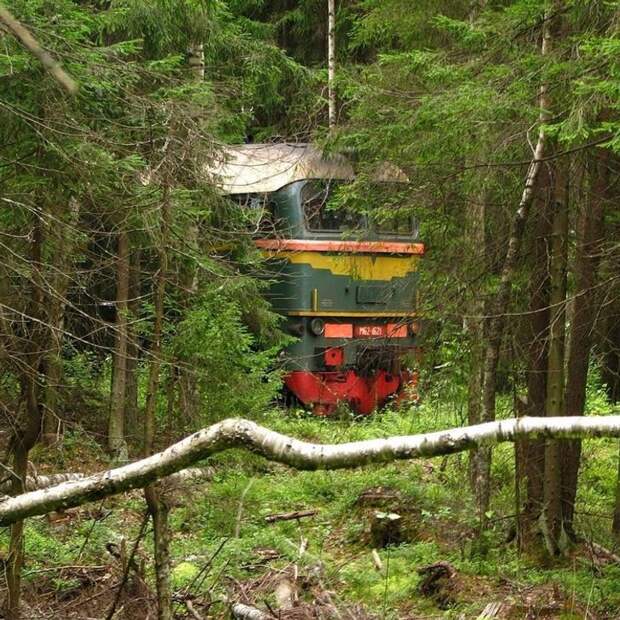 22 фото, которые демонстрируют необратимый бег времени