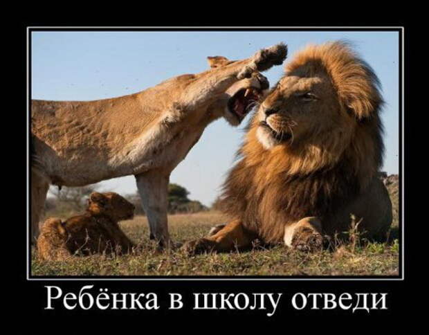 Свежая подборка демотиваторов