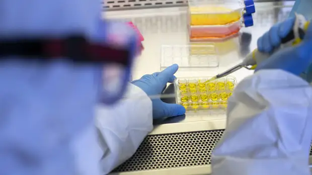 Доктор биологических наук Семёнов рассказал, что делать после контакта с заболевшим COVID-19