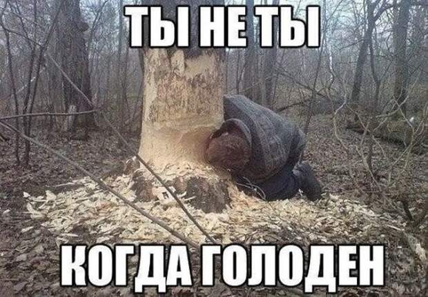 fotopodborka_chetverga_113_foto_9.jpg