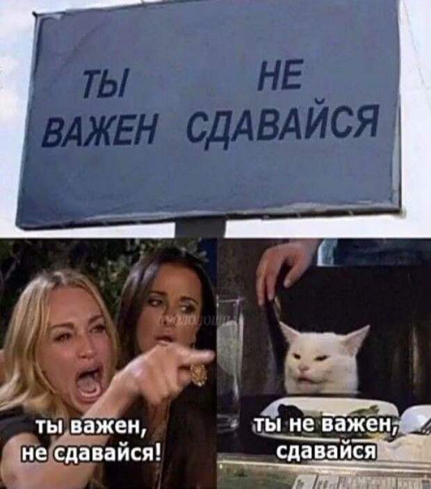 Свежие мемы на понедельник (15 шт)