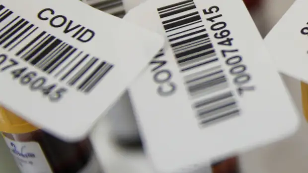 В Нижегородской области зарегистрировали 596 случаев COVID-19 за сутки