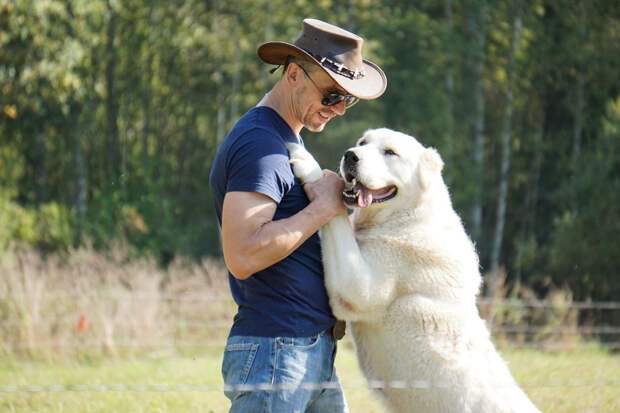 Андрей Абрамов с собакой 