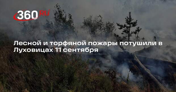 Лесной и торфяной пожары потушили в Луховицах 11 сентября