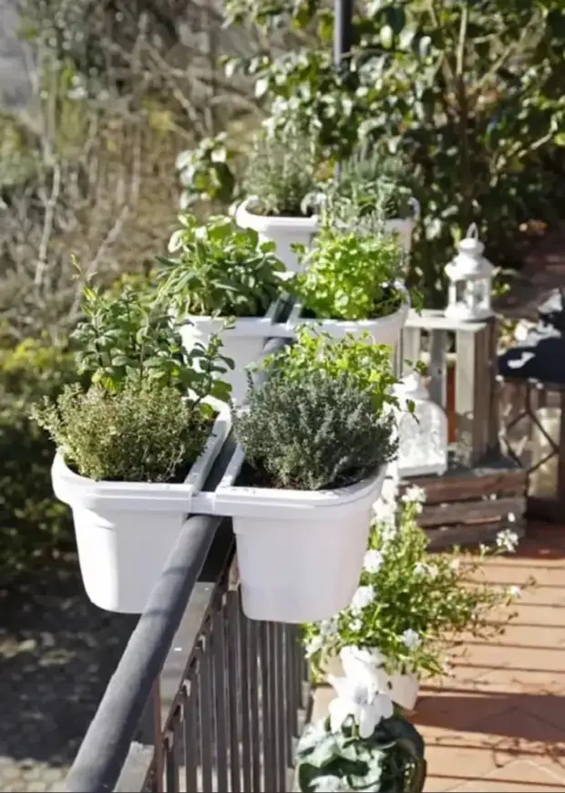 Оптимальный вариант для небольшого балкона: размещение растений на перилах в специальных подвесных горшках