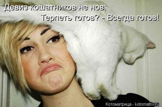 Веселая котоматрица за неделю (28 шт)