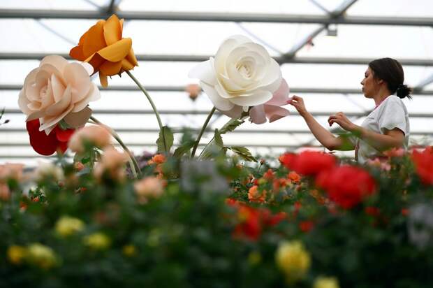 Цветочная выставка садов и цветов Chelsea Flower Show 2021