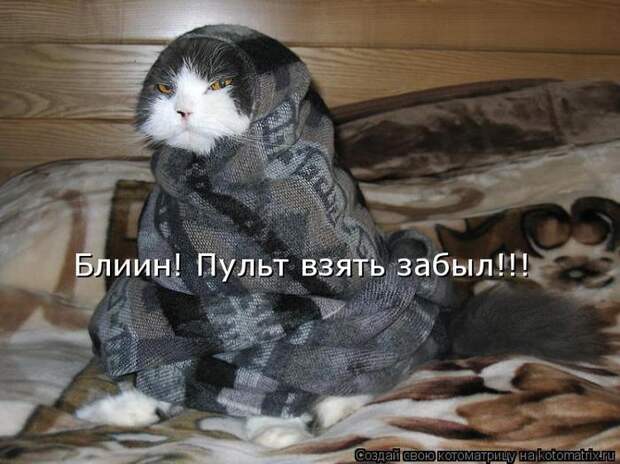 котоматрица пульт забыл (700x524, 61Kb)