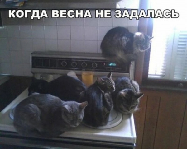 Субботний позитивчик (30 фото)