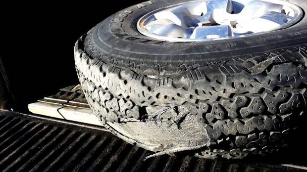 Покрышки Firestone и Ford Покрышки Firestone и Ford