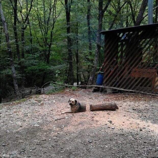 Такого я еще не видел: 10 фотографий, которые взорвут мозг любому