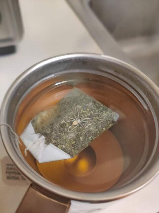 Больше чай я не пью Больше чай я не пью