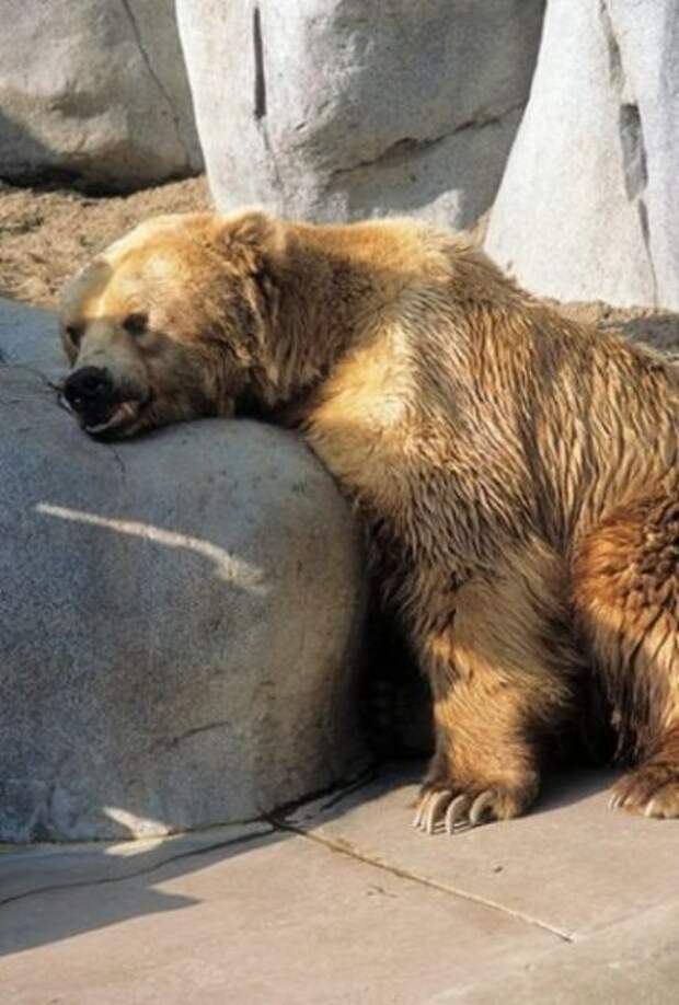 Не самое удачное место для отдыха (19 фото)