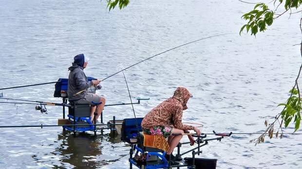 Россиянам рассказали, как в 2026 году будет регулироваться любительская рыбалка