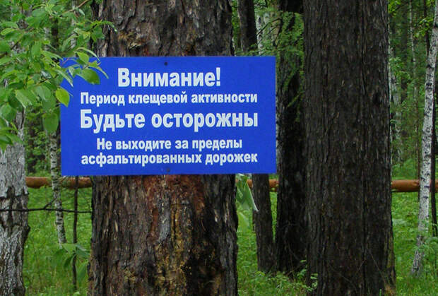 Без комментариев!