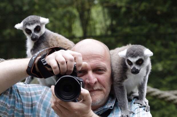 фотограф, зверьки