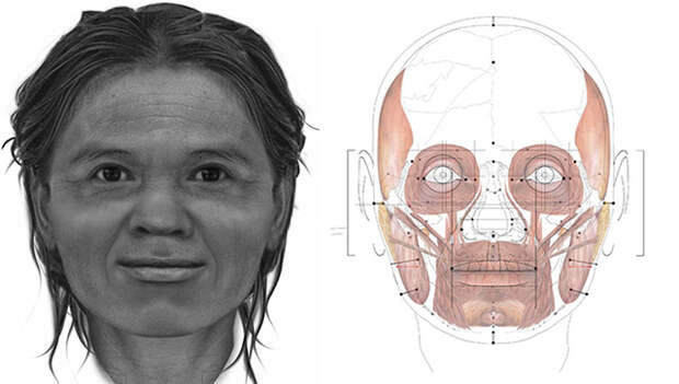 Лицо женщины из пещеры Там-Лод, восстановленное учеными