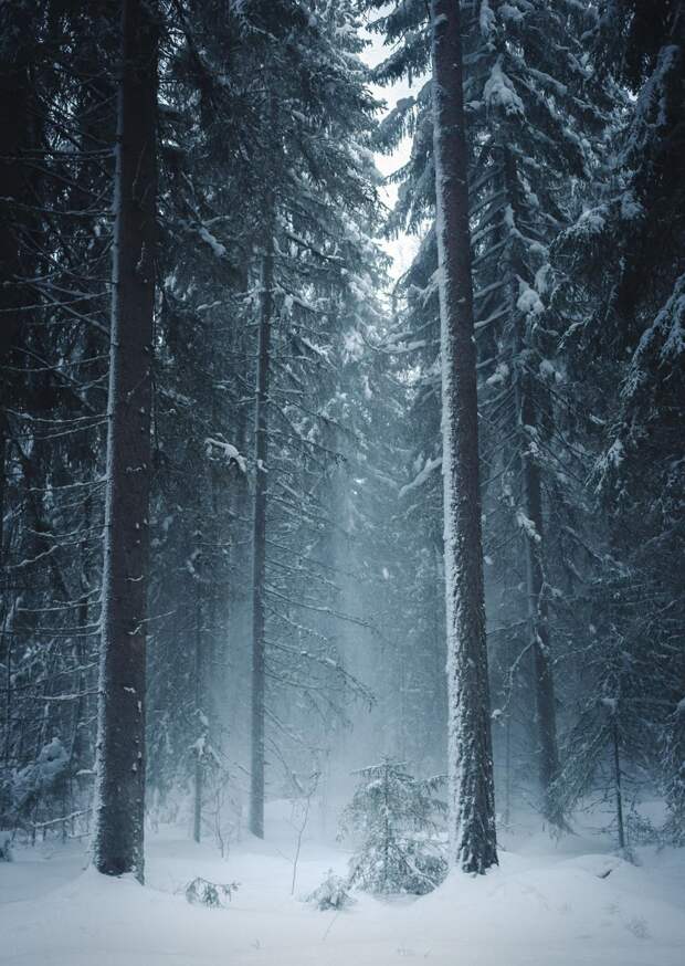 Красота природы на фотографиях