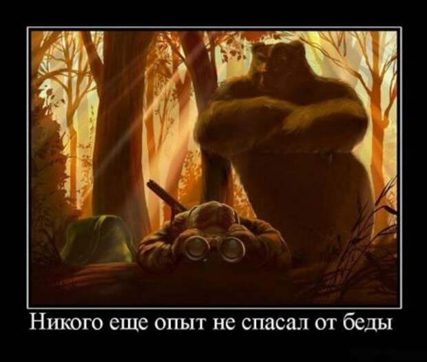 Демотиваторы №3 (50 фото)