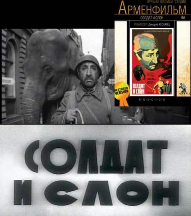 Солдат и слон. Солдат и слон фильм 1977. Фрунзик Мкртчян солдат и слон. Солдат и слон фильм 1977 кадры. Киностудия Арменфильм.