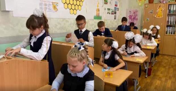 В Казани родители протестуют против уроков по методике Базарного, когда дети учатся стоя: “Они плачут”