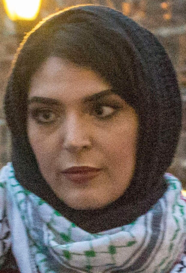 В США новый конфликт: собаки или мусульмане?