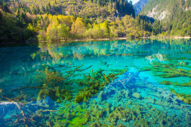 Five Flower Lake, Jiuzhaigou Valley