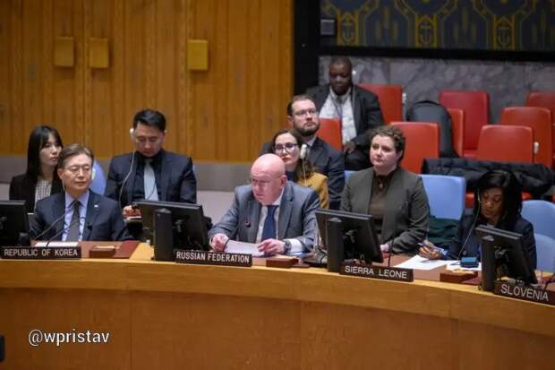 Постпред России на заседании Совбеза ООН: особую тревогу вызывает деятельность