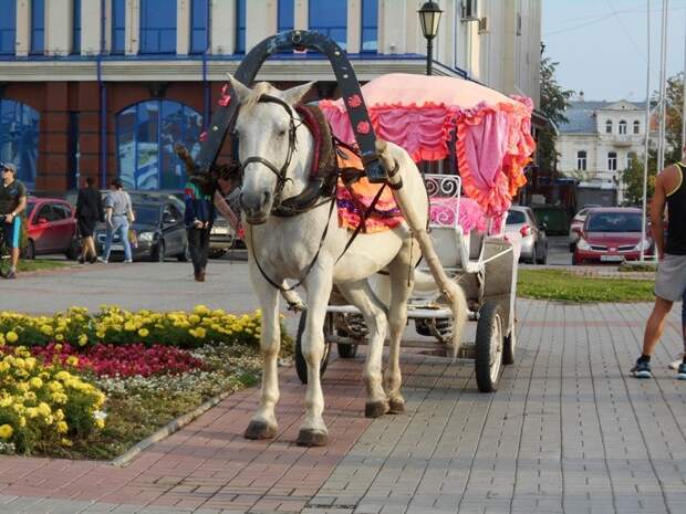 Путешествие в Томск история, путешествия, факты, фото
