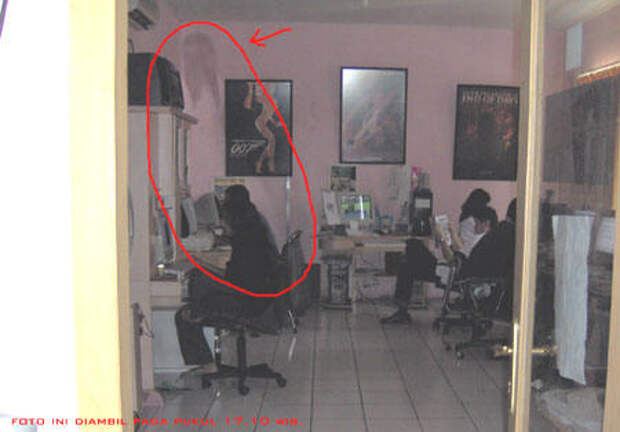 Piccy.info - Free Image Hosting