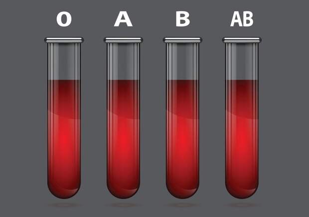 Фото №1 - Может ли меняться группа крови?