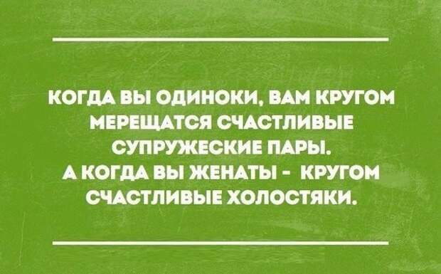 Немного сарказма в забавных открытках и смс переписках!