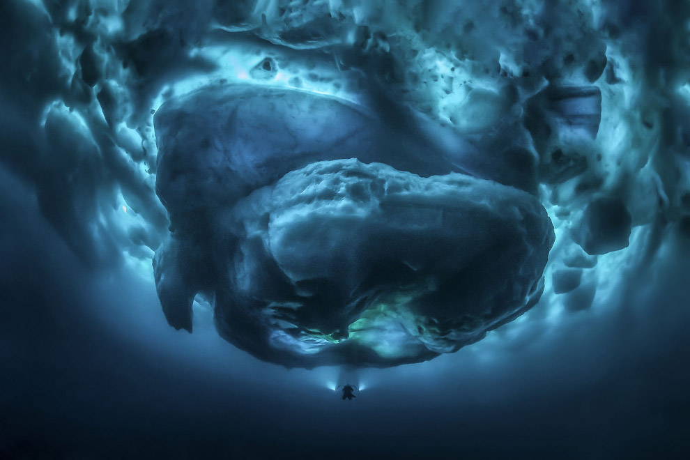 Конкурс подводной фотографии Ocean Art 2019