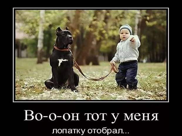 Прикольные демотиваторы с надписями. Подборка chert-poberi-dem-chert-poberi-dem-20140625062020-1 картинка chert-poberi-dem-20140625062020-1