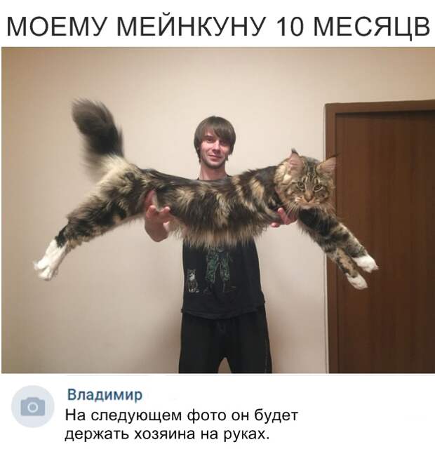 Скриншоты из социальных сетей. Часть 696 (47 фото)