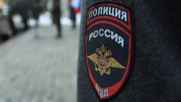 Полицейский шеврон / Фото: amic.ru 
