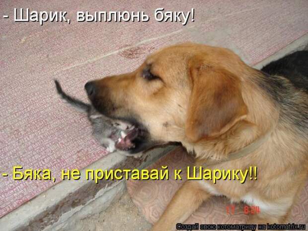 Мысли вслух :)