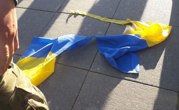 «Наши страдания потеряли смысл» – галичанин-русофоб просит признать поражение