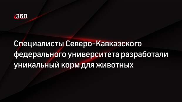Специалисты Северо-Кавказского федерального университета разработали уникальный корм для животных