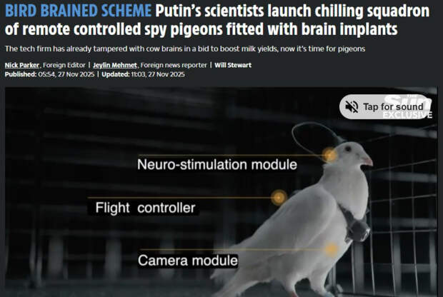 photo_2025-11-28_18-13-28 photo_2025-11-28_18-13-28