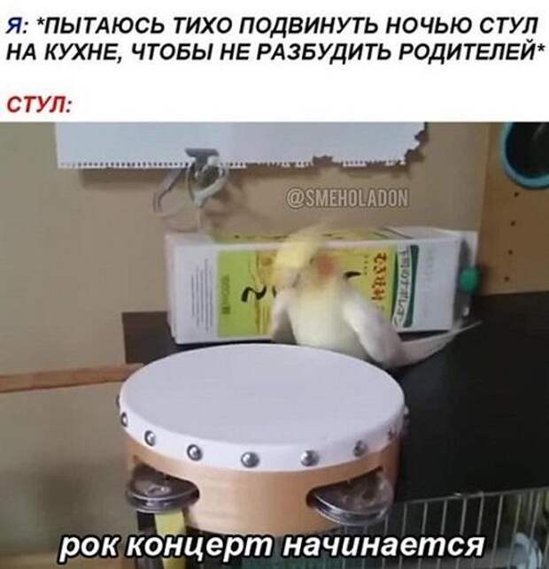 Супер улетные картинки и мемы