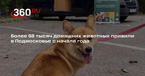 Более 68 тысяч домашних животных привили в Подмосковье с начала года