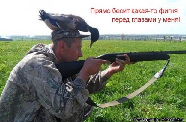 Забавные животные (50 фото)