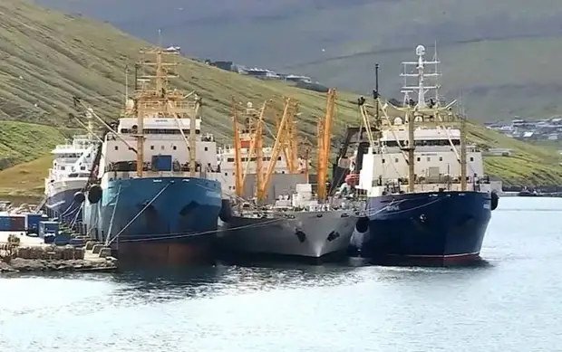 Россия решила пересмотреть несправедливые квоты на вылов рыбы американцами в Беринговом море