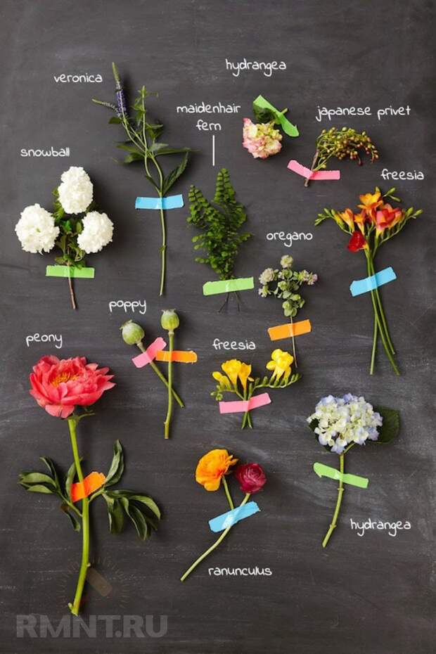 10 идей для оригинального декорирования стен