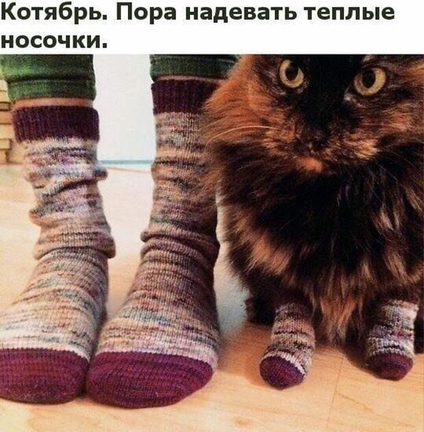 Подборка картинок. Вечерний выпуск (22 фото)